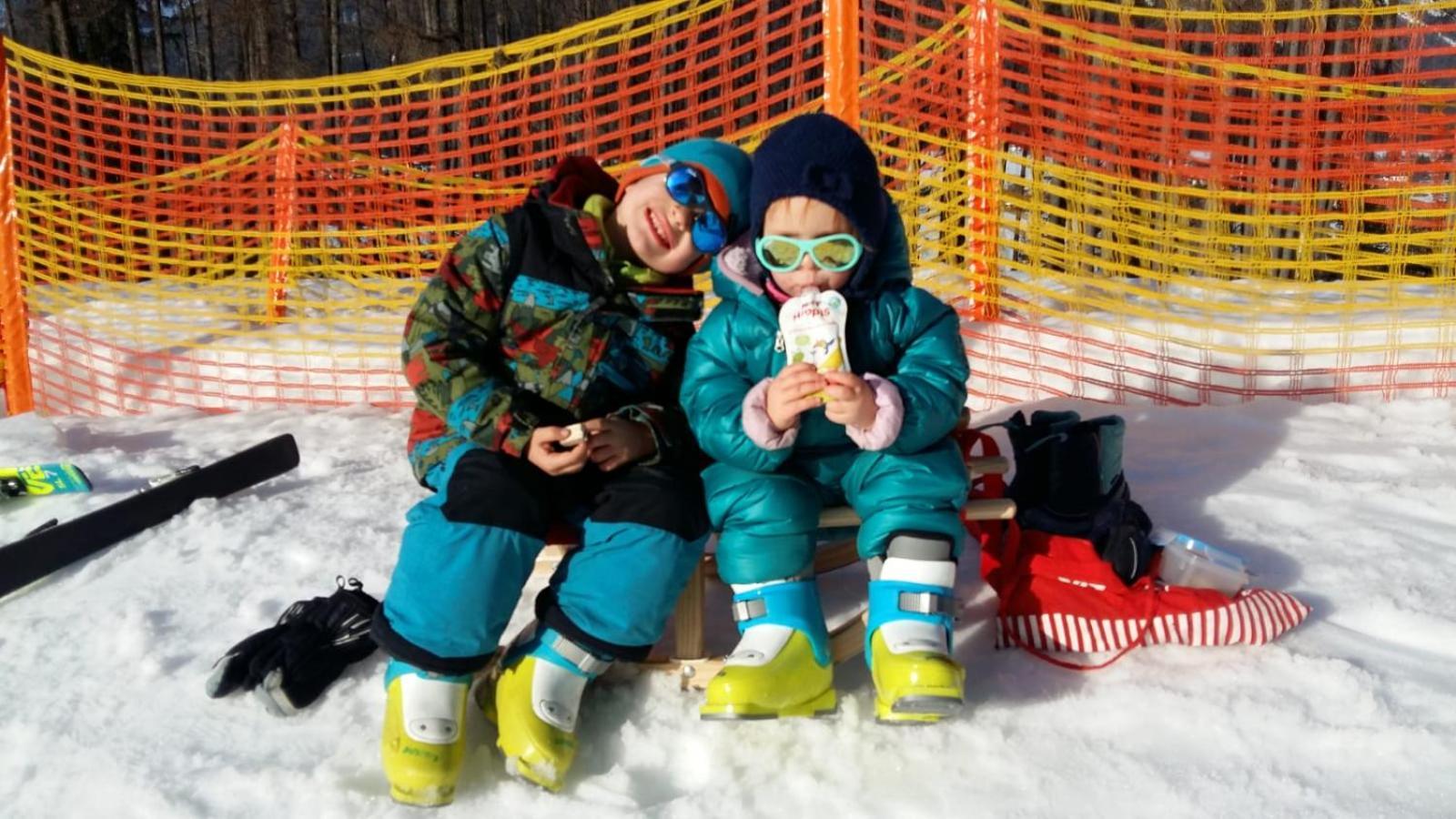 Alpenferienwohnung Strickner Neustift im Stubaital Extérieur photo