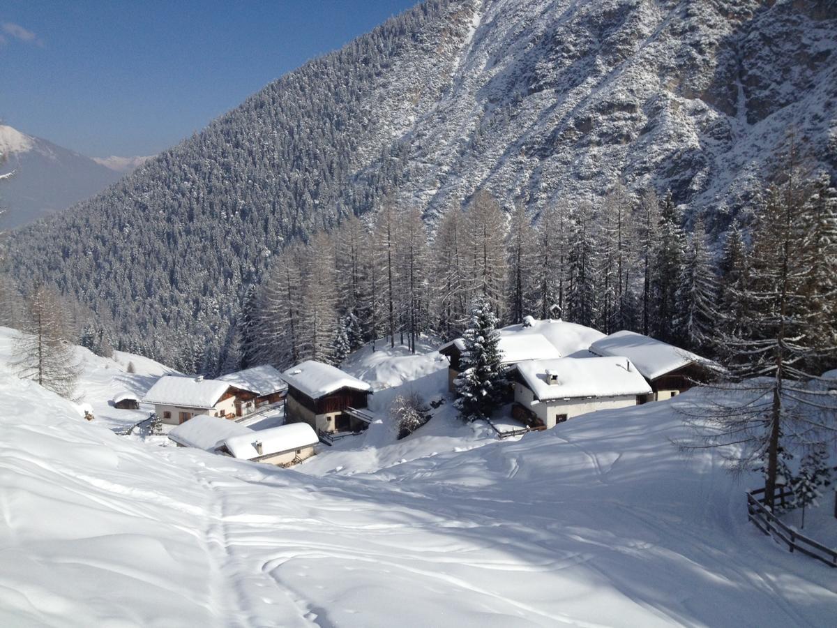 Alpenferienwohnung Strickner Neustift im Stubaital Extérieur photo