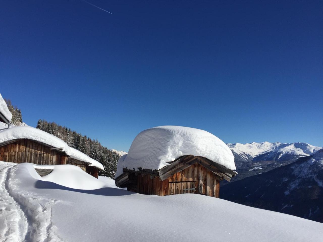 Alpenferienwohnung Strickner Neustift im Stubaital Extérieur photo